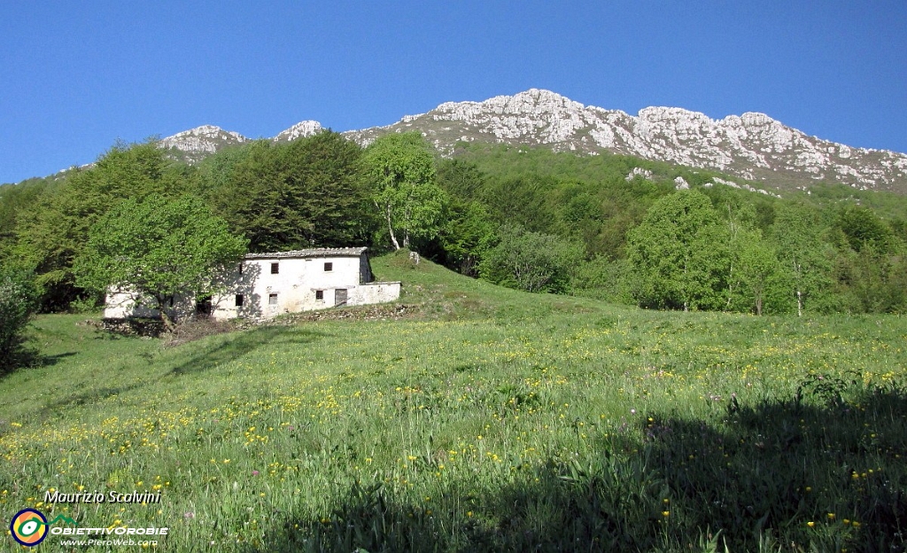 03 Il pratone del traliccio.JPG